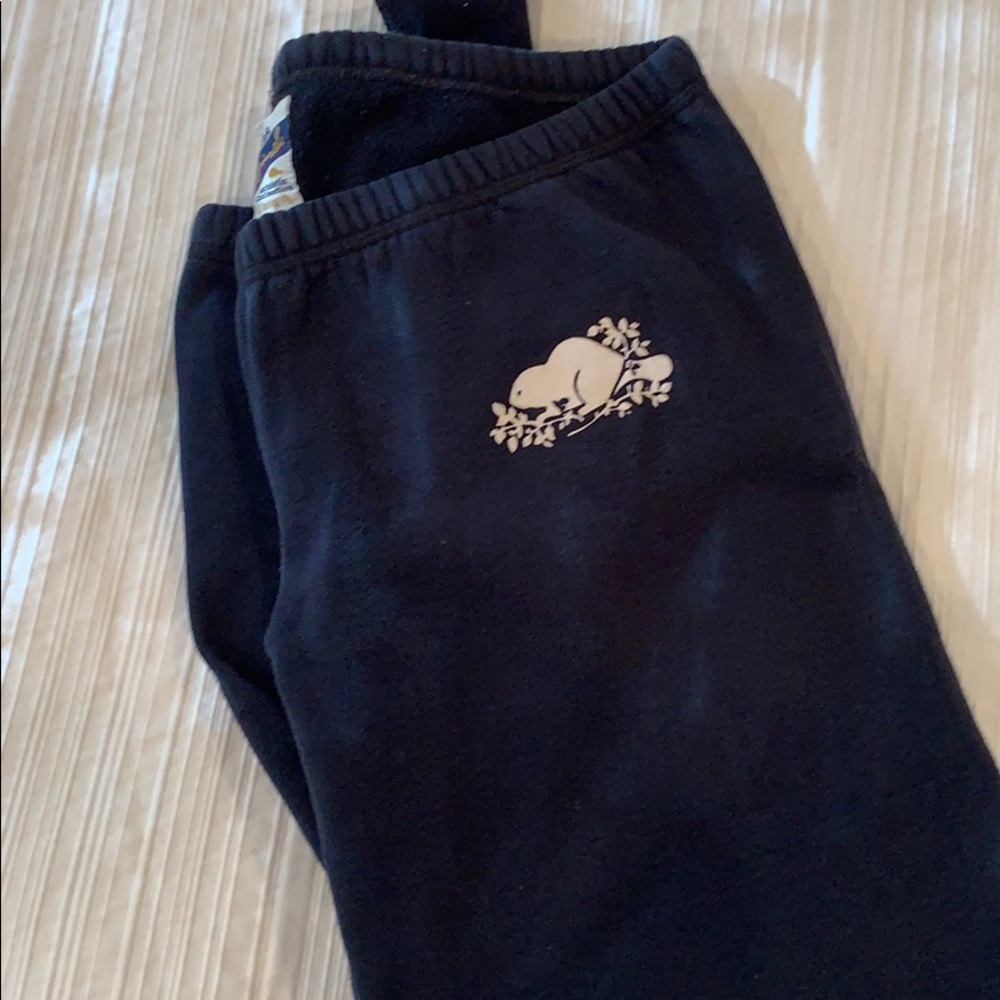 Blue roots sweatpants size medium